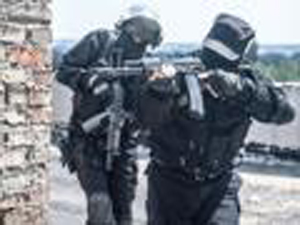 terrorism 